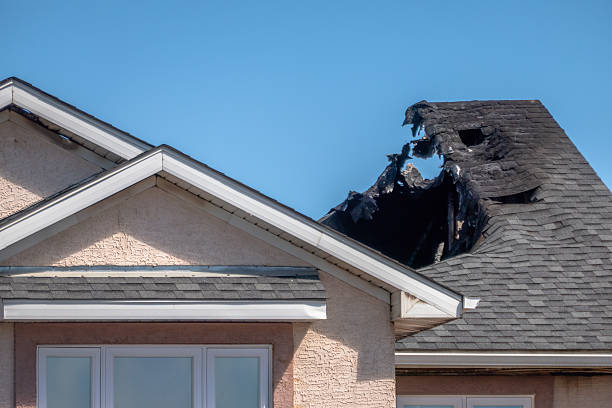 Top rated local Fire Damage Removal specialists in Kingsville, TX